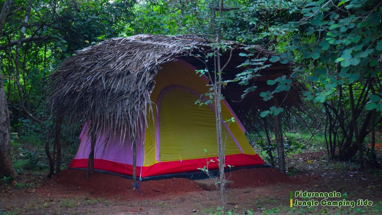 Hotel Sigiri Jungle Camping Sigiriya Exteriér fotografie